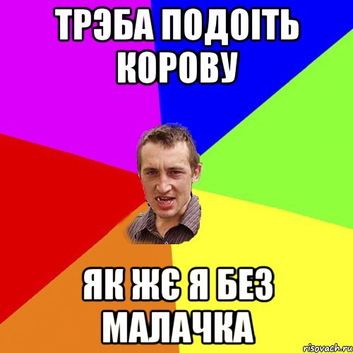 Моя кобра як пізанська вежа Нахиляється але непадає, Мем Чоткий паца