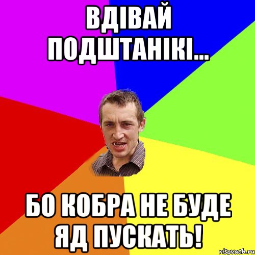 Вдівай подштанікі... Бо кобра не буде яд пускать!, Мем Чоткий паца