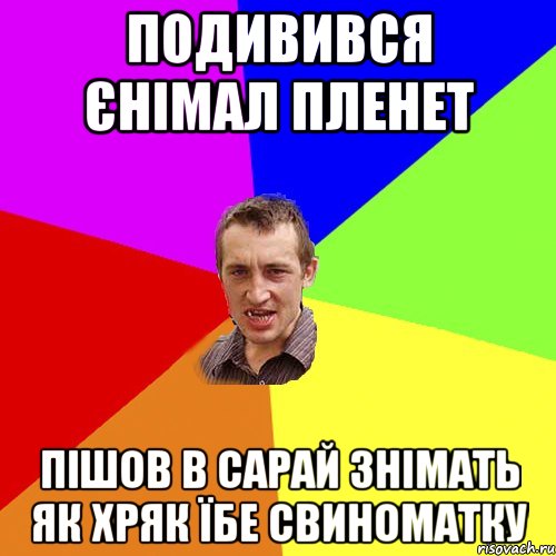 Подивився єнімал пленет пішов в сарай знімать як хряк їбе свиноматку, Мем Чоткий паца