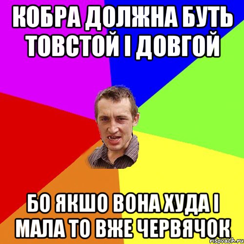 кобра должна буть товстой і довгой бо якшо вона худа і мала то вже червячок, Мем Чоткий паца