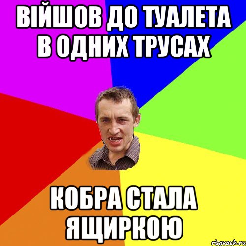 війшов до туалета в одних трусах кобра стала ящиркою, Мем Чоткий паца