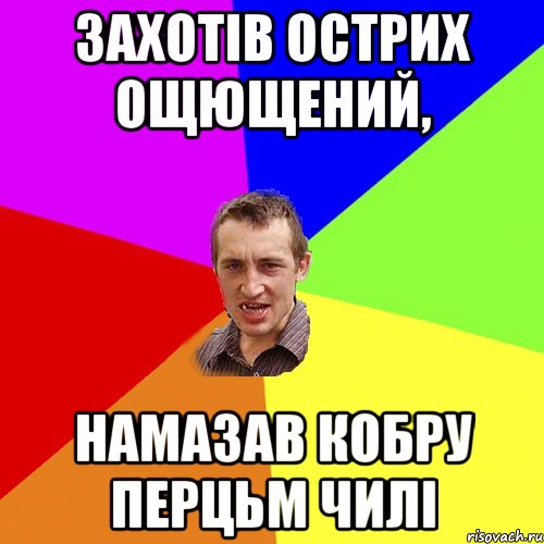 Захотів острих ощющений, Намазав кобру перцьм чилі, Мем Чоткий паца