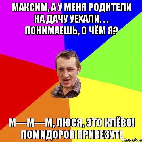 Максим, а у меня родители на дачу уехали. . . Понимаешь, о чём я? М—м—м, Люся, это клёво! Помидоров привезут!, Мем Чоткий паца