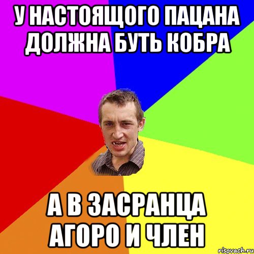 у настоящого пацана должна буть кобра а в засранца агоро и член, Мем Чоткий паца