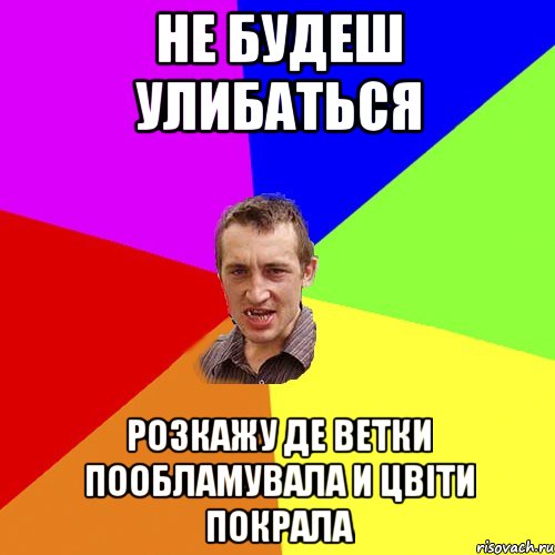 не будеш улибаться розкажу де ветки пообламувала и цвіти покрала, Мем Чоткий паца