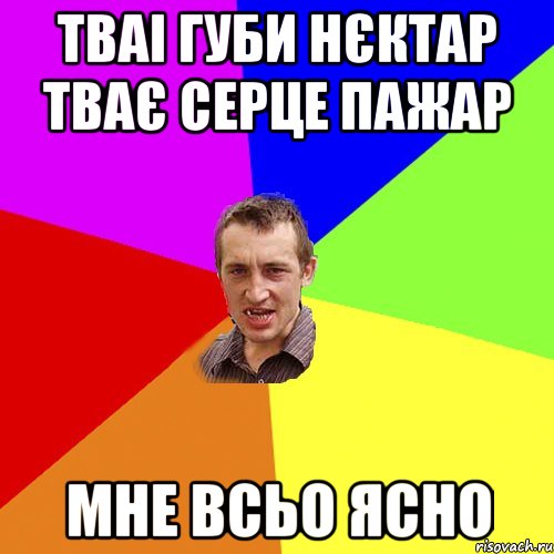 Тваі губи нєктар тває серце пажар мне всьо ясно, Мем Чоткий паца