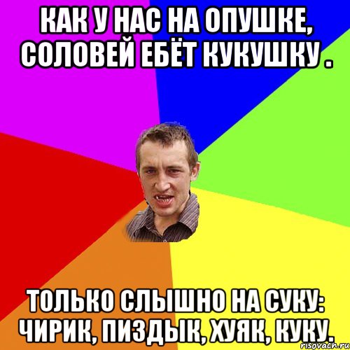 Как у нас на опушке, соловей ебёт кукушку . Только слышно на суку: чирик, пиздык, хуяк, куку., Мем Чоткий паца