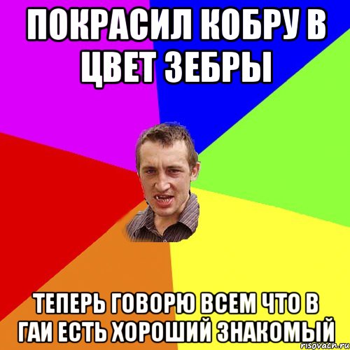 Покрасил кобру в цвет зебры теперь говорю всем что в ГАИ есть хороший знакомый, Мем Чоткий паца