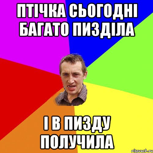 птічка сьогодні багато пизділа і в пизду получила, Мем Чоткий паца