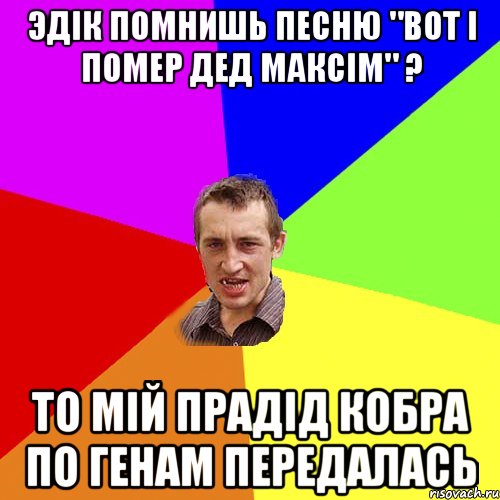 ЭДІК ПОМНИШЬ ПЕСНЮ "ВОТ І ПОМЕР ДЕД МАКСІМ" ? ТО МІЙ ПРАДІД КОБРА ПО ГЕНАМ ПЕРЕДАЛАСЬ, Мем Чоткий паца