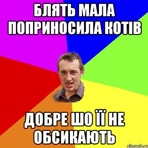 блять мала поприносила котів добре шо її не обсикають, Мем Чоткий паца