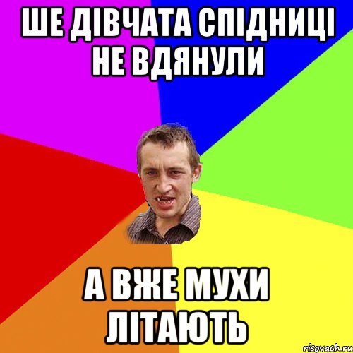 Ше дівчата спідниці не вдянули а вже мухи літають, Мем Чоткий паца