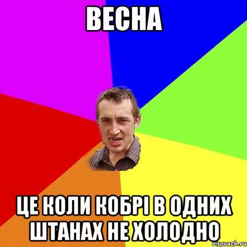 весна це коли кобрі в одних штанах не холодно, Мем Чоткий паца