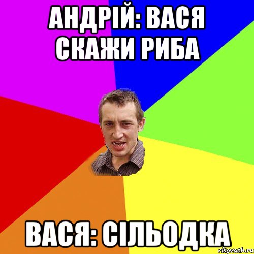 Андрій: Вася скажи риба Вася: сільодка, Мем Чоткий паца