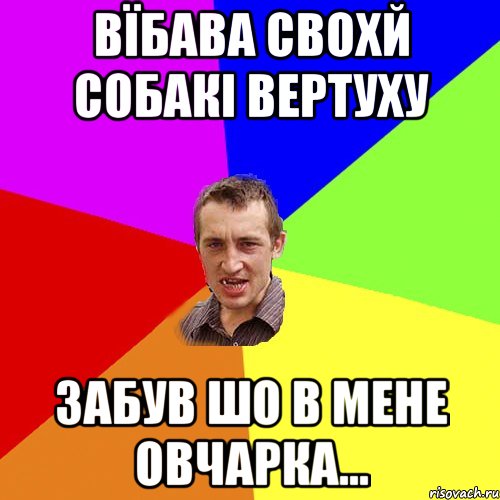 вїбава свохй собакі вертуху забув шо в мене овчарка..., Мем Чоткий паца