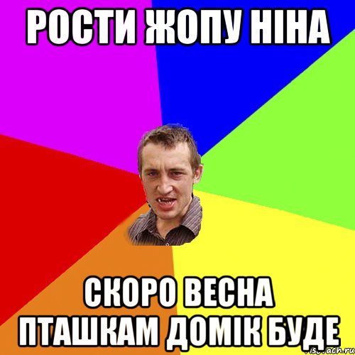 Рости жопу Ніна Скоро весна пташкам домік буде, Мем Чоткий паца