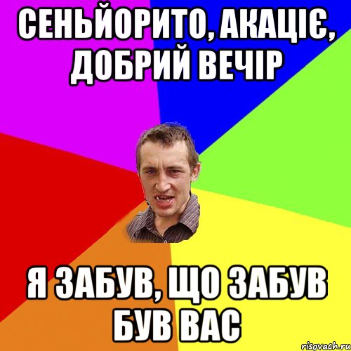 Сеньйорито, акаціє, добрий вечір Я забув, що забув був вас, Мем Чоткий паца
