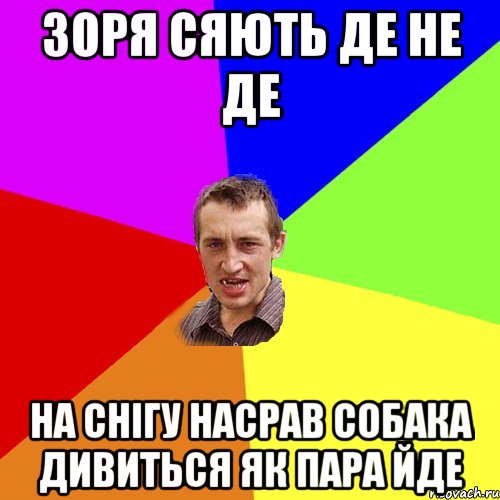 зоря сяють де не де на снігу насрав собака дивиться як пара йде, Мем Чоткий паца