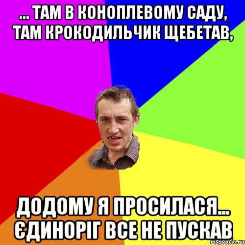 ... там в коноплевому саду, там крокодильчик щебетав, додому я просилася... єдиноріг все не пускав, Мем Чоткий паца