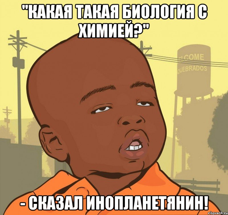 "Какая такая биология с химией?" - сказал инопланетянин!, Мем Пацан наркоман