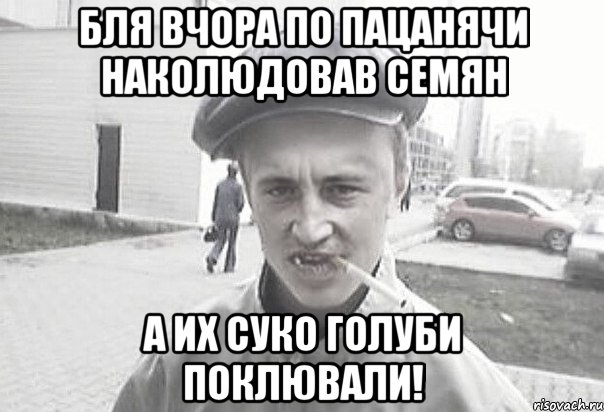 Бля вчора по пацанячи наколюдовав семян А их суко голуби поклювали!, Мем Пацанська философия