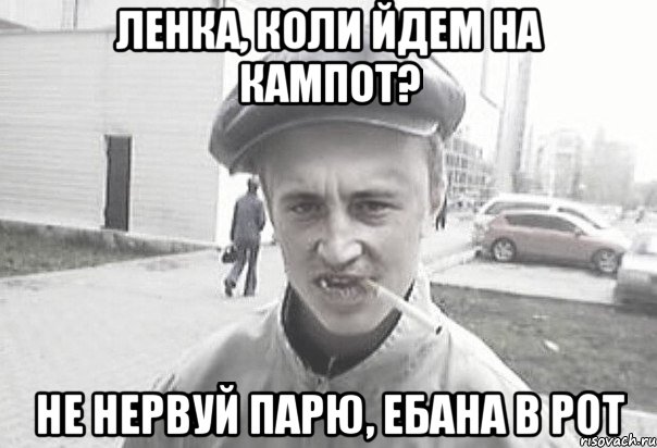 Ленка, коли йдем на кампот? не нервуй парю, ебана в рот, Мем Пацанська философия