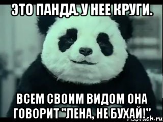 Это панда. У нее круги. Всем своим видом она говорит "Лена, не бухай!"