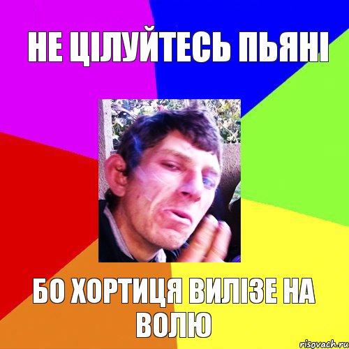 не цілуйтесь пьяні бо хортиця вилізе на волю, Комикс Папин бродяга мамин симпатяга