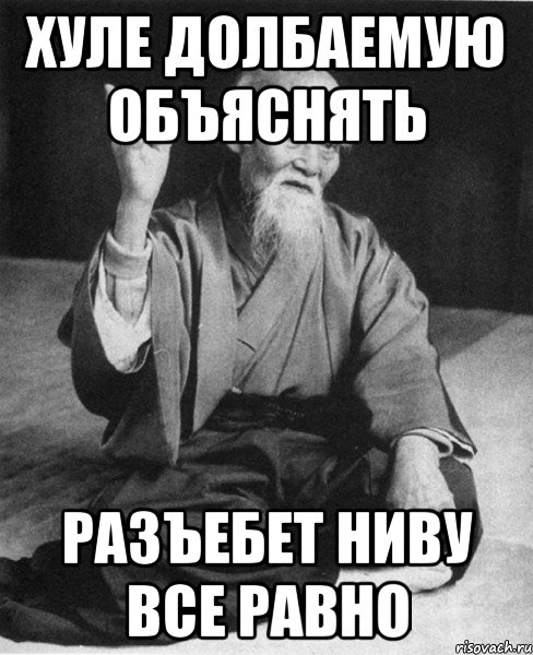 Хуле долбаемую объяснять Разъебет ниву все равно, Мем Монах-мудрец (сэнсей)