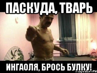 ПАСКУДА, ТВАРЬ ИнгаОля, брось булку!, Мем Паскуда тварь