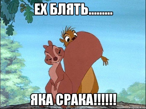 ех блять......... яка срака!!!!!!, Мем перегар