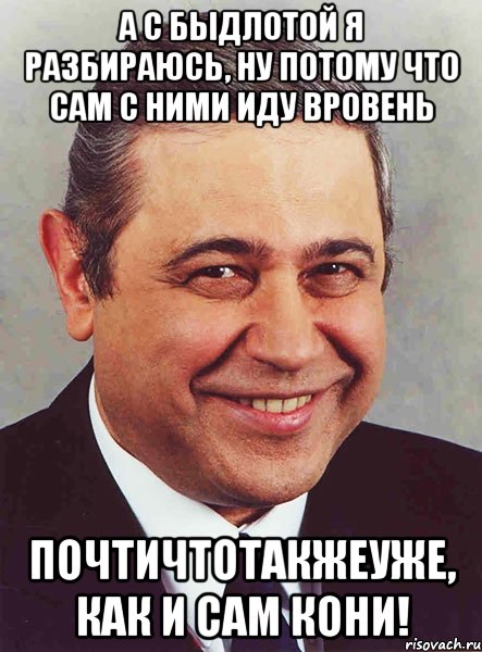 А с быдлотой я разбираюсь, ну потому что сам с ними иду вровень почтичтотакжеуже, как и сам Кони!, Мем петросян