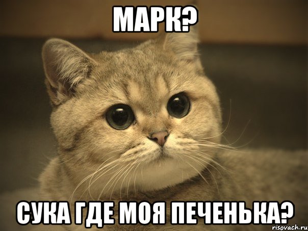 Марк? Сука где моя печенька?, Мем Пидрила ебаная котик