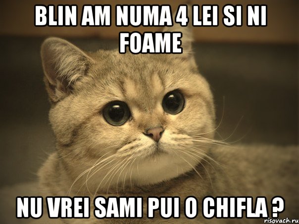 blin AM NUMA 4 LEI SI NI FOAME nu vrei sami pui o chifla ?, Мем Пидрила ебаная котик