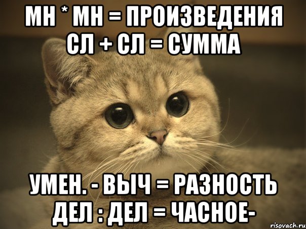 мн * мн = произведения сл + сл = сумма умен. - выч = разность дел : дел = часное-, Мем Пидрила ебаная котик