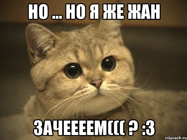 Но ... но я же жан Зачеееем((( ? :3, Мем Пидрила ебаная котик