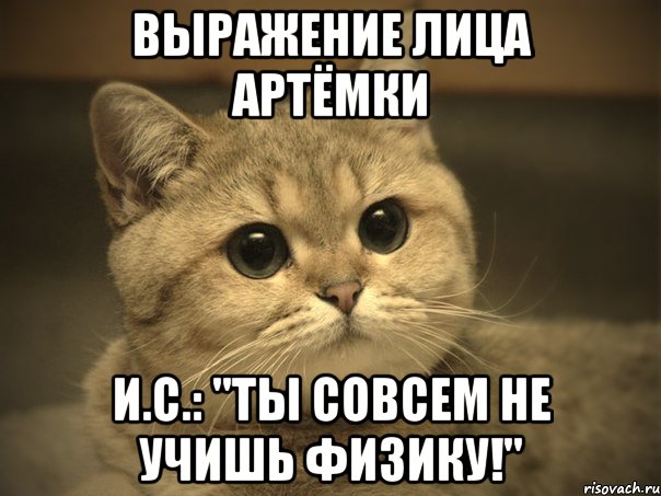 Выражение лица Артёмки И.С.: "Ты совсем не учишь физику!", Мем Пидрила ебаная котик