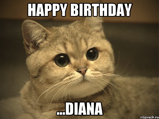 Happy birthday ...Diana, Мем Пидрила ебаная котик