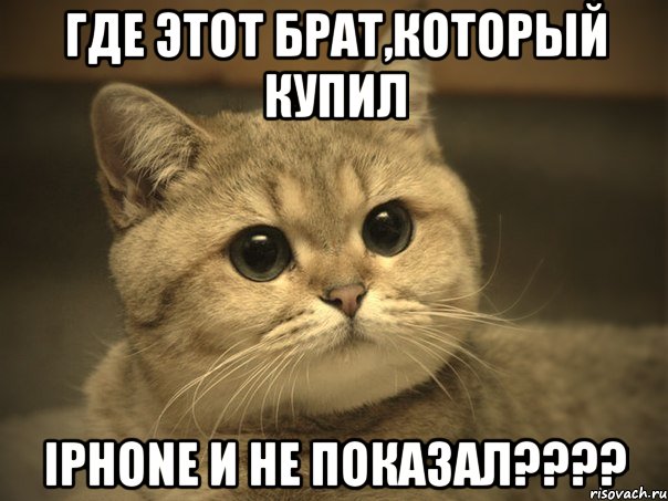 где этот брат,который купил iphone и не показал????, Мем Пидрила ебаная котик