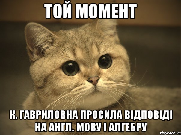 Той момент К. Гавриловна просила відповіді на англ. мову і алгебру, Мем Пидрила ебаная котик