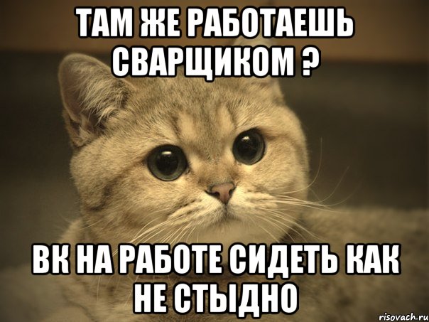 Там же работаешь Сварщиком ? вк на работе сидеть как не стыдно, Мем Пидрила ебаная котик