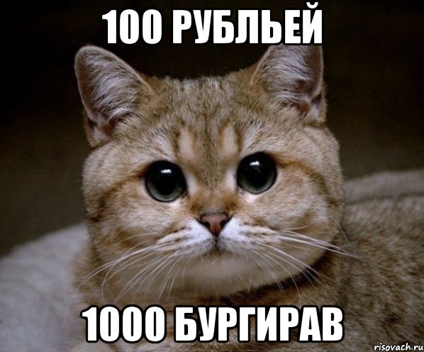 100 рубльей 1000 бургирав, Мем Пидрила Ебаная