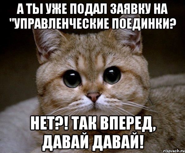 А ты уже подал заявку на "Управленческие поединки? НЕТ?! Так вперед, давай давай!, Мем Пидрила Ебаная