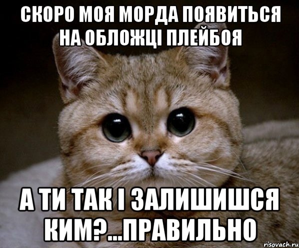 скоро моя морда появиться на обложці плейбоя а ти так і залишишся ким?...правильно, Мем Пидрила Ебаная