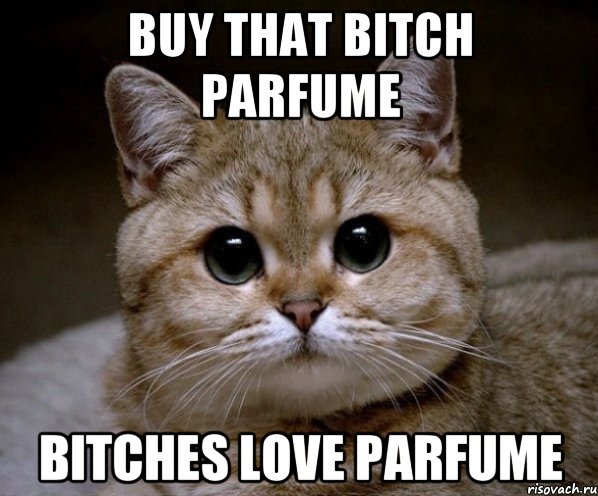 buy that bitch parfume bitches love parfume, Мем Пидрила Ебаная