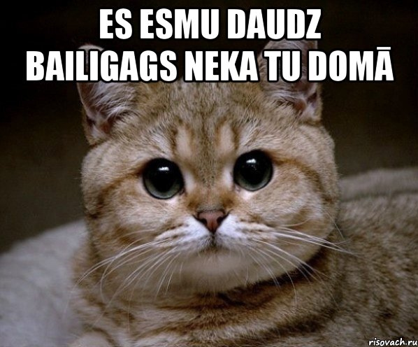 es esmu daudz bailigags neka tu domā , Мем Пидрила Ебаная