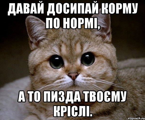 Давай досипай корму по нормі, а то пизда твоєму кріслі., Мем Пидрила Ебаная