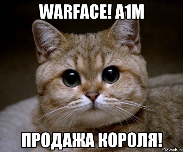 WARFACE! A1M ПРОДАЖА КОРОЛЯ!, Мем Пидрила Ебаная