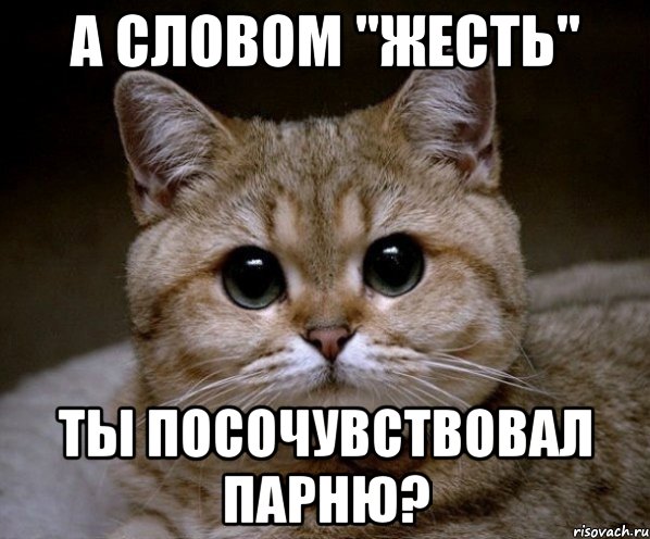 а словом "жесть" ты посочувствовал парню?, Мем Пидрила Ебаная