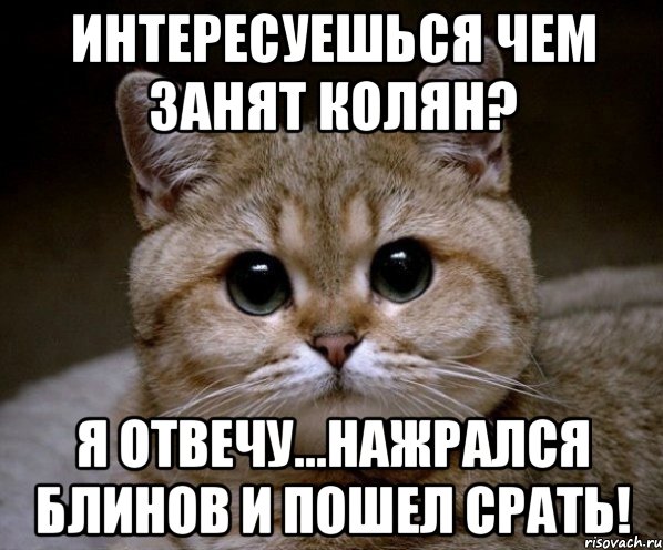 Интересуешься чем занят колян? Я отвечу...Нажрался блинов и пошел срать!, Мем Пидрила Ебаная